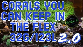 Corals you can keep in the Flex 32g Reef 2.0