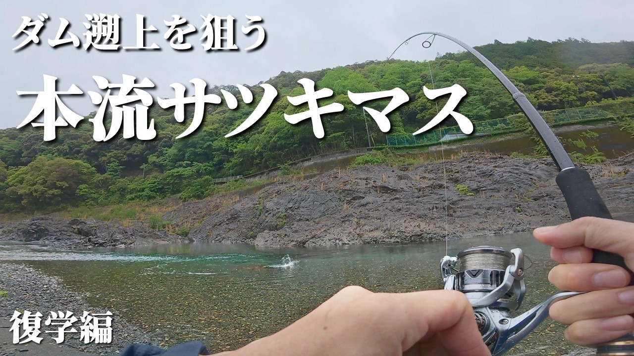 【週末限定公開】本流サツキマス釣り再び！おじさんの言葉を信じて…