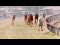 مهرجان ختامي المرموم حول زمول للقبائل 17 4 2019 م ش6 البرشا لـ محمد زايد خلفان المنصوري 12 22 4