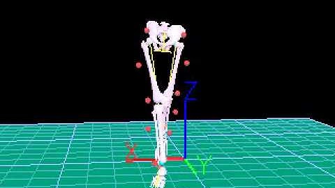 Motion Capture: Core Lab