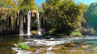 3 HOURS Calming Peaceful Meditation Music for Studying, Sleeping, Relaxing | Ambient Sound