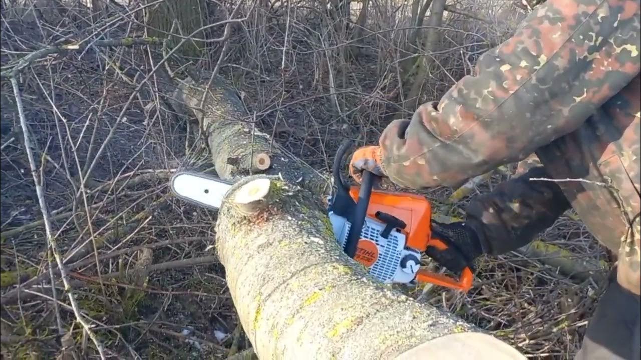 STIHL ШТІЛЬ 230 ОБКАТКА БЕНЗОПИЛИ ТА ЗАГОТІВЛЯ ДРОВ МОТОБЛОКОМ ЗУБР ...