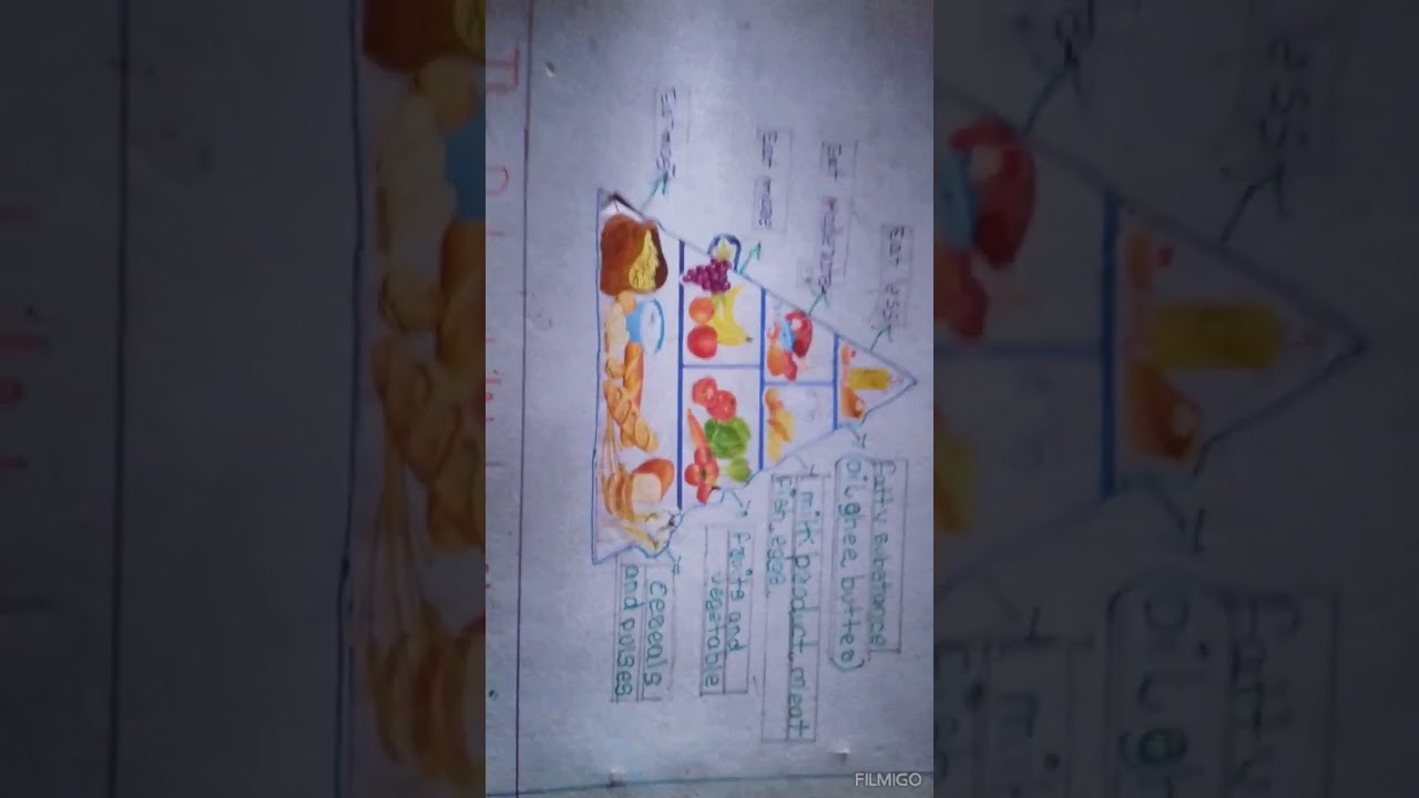lesson no. 7 science nutrition and diet project making food pyramid 6th class