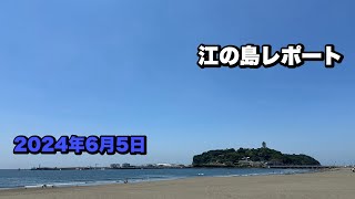 江の島レポート2024年6月5日