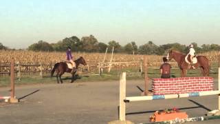 Neva trot with a beginner rider