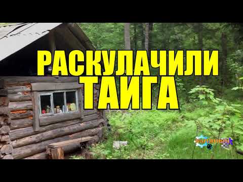 РАСКУЛАЧИВАНИЕ В ТАЙГЕ