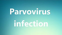 Parvovirus infection - Medical Definition and Pronunciation