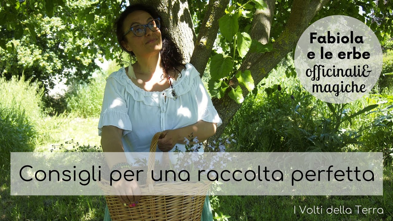 Erbe officinali e magiche: raccolta ed essiccazione