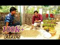 गमले की पुरानी मिट्टी को बिलकुल नया बनाएं // Recharge your potting Soil