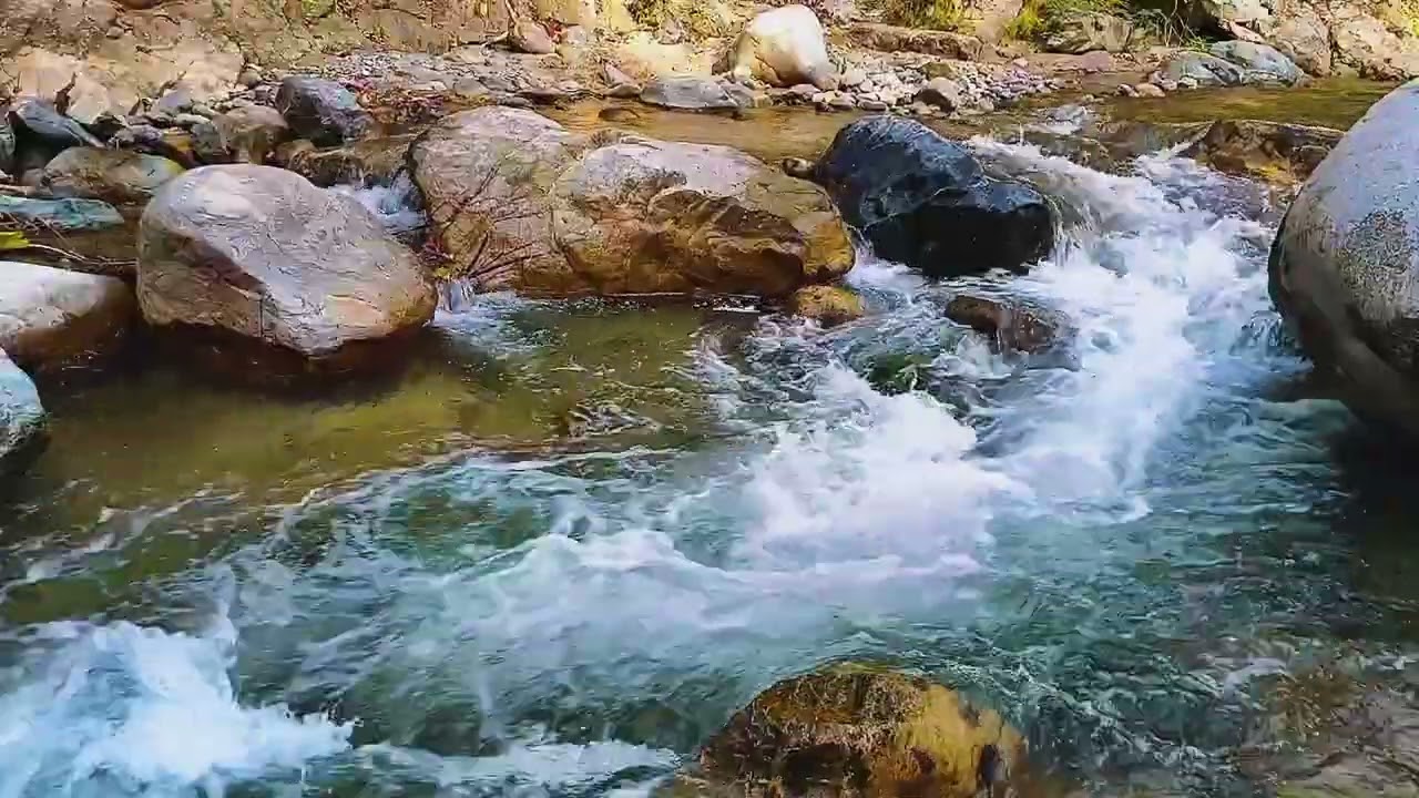 Powerful River Roaring Through Untouched Forest - Strangely Calming