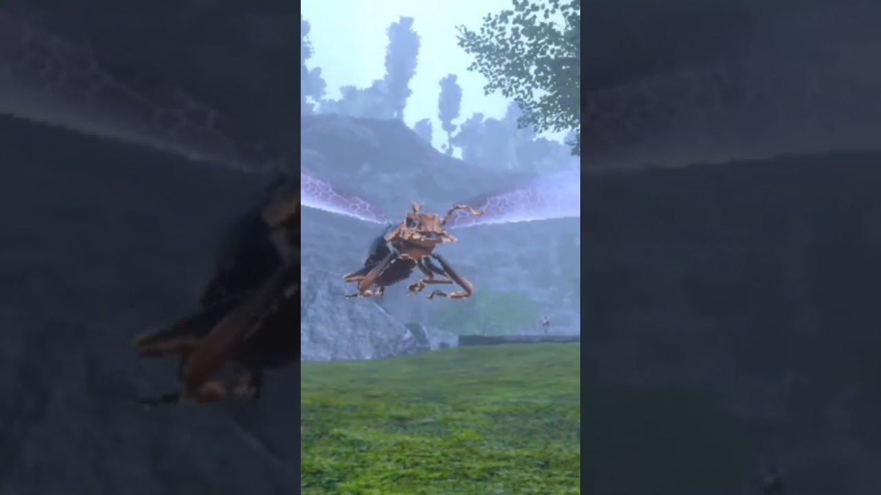 photography of invertebrates | Ark mobile | leetech