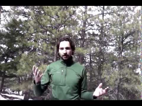 using-vocal-toning/sound-healing-for-self-expression