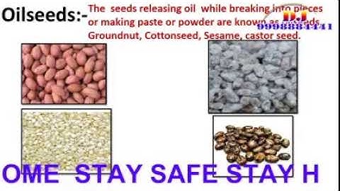 Class 5 Subject:- Environment  Ch:- 3 Developmental Journey of Seeds.