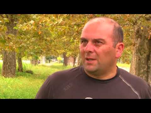 ფოთში აზიური ფაროსანას საწინააღმდეგო ფერომონების დამონტაჟება დაიწყო