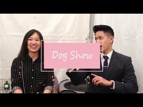 Video: Pendakap Anjing: Apa Yang Perlu Anda Ketahui