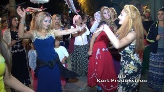 ROMAN HAVASI SEVENLER  RITIM SHOW 2017-Kurt Prodüksiyon Resimi