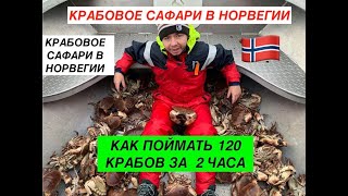 🦀 120 крабов 🦀 за 2 часа. Крабовое сафари в Норвегии 🇳🇴 Сrab safari in Norway. 120 crabs for 2 hours