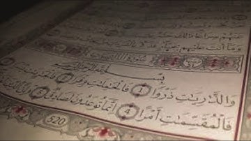 سورة الذاريات بصوت القارئ احمد طه (أبو حمزة)