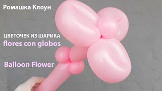 ЦВЕТОЧЕК ИЗ ШАРИКА Balloon Flower TUTORIAL flores con globos