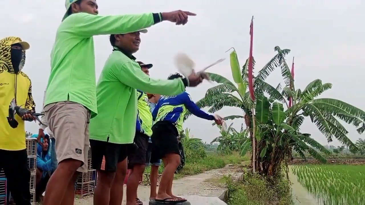 Lomba hari minggu bagian 2 adu gengsi kuping cek gak panas juara baru rea reo