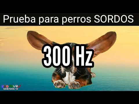 Video: Roca De Perros Sordos
