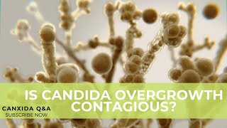 Dietitian Answers: Is Candida Overgrowth Contagious? | Customer Questions