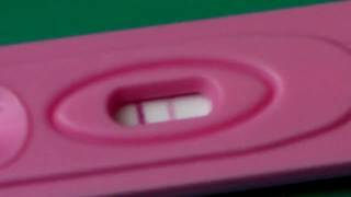 PREGNO FAKE POSITIVE PREGNANCY TEST PRANK SOLUTION