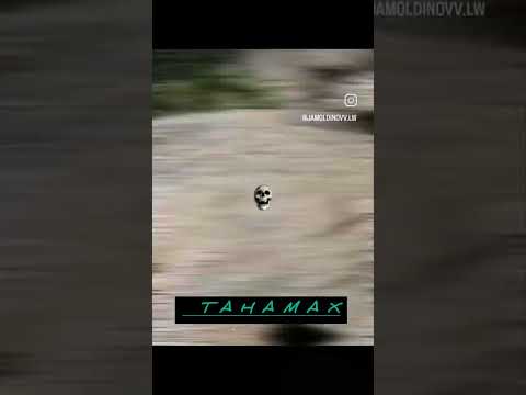 م رد یا زنده موند