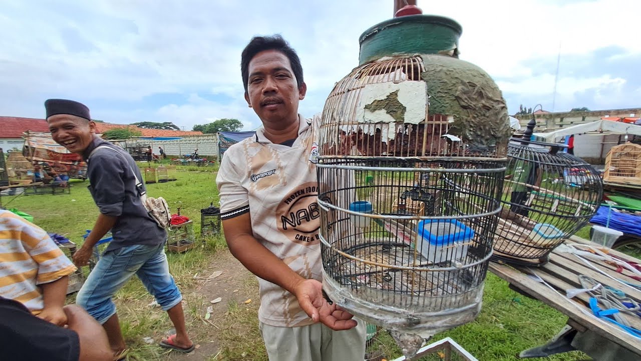 Pasar burung plered tetep ok meskipun. Becek becekan...