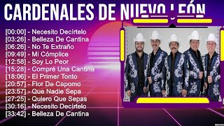 C A R D E N A L E S D E N U E V O L E  N Greatest Hits  Top 100 Artists To Listen In 2023
