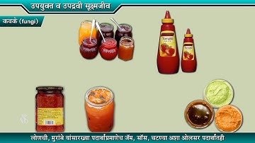 9th Science | Chapter#08 | Topic#08 | उपद्रवी सूक्ष्मजीव | Marathi Medium