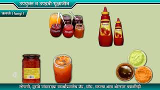 9th Science | Chapter#08 | Topic#08 | उपद्रवी सूक्ष्मजीव | Marathi Medium