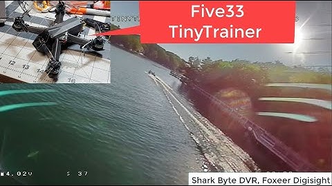 Shark Byte | Chasing a Boat!