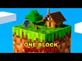 MY EXPERIENCE IN MINECRAFT ONEBLOCK SURVIVAL #1