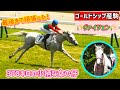 【ゴールドシップ産駒】378キロのちっこい身体で一生懸命走る姿が愛おしいヴァイツェン🌾