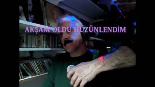 Akşam oldu hüzünlendim Alaaddin Ergün