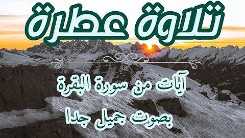 سورة البقرة / تلاوة عطرة وصوت جميل جدا 🌹 💛 / القارئ أسامة بومشاش