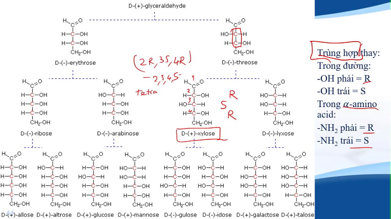 [Chuyên Hóa THPT] Đồng phân lập thể - Đồng phân quang học của chất có nhiều tâm bất đối