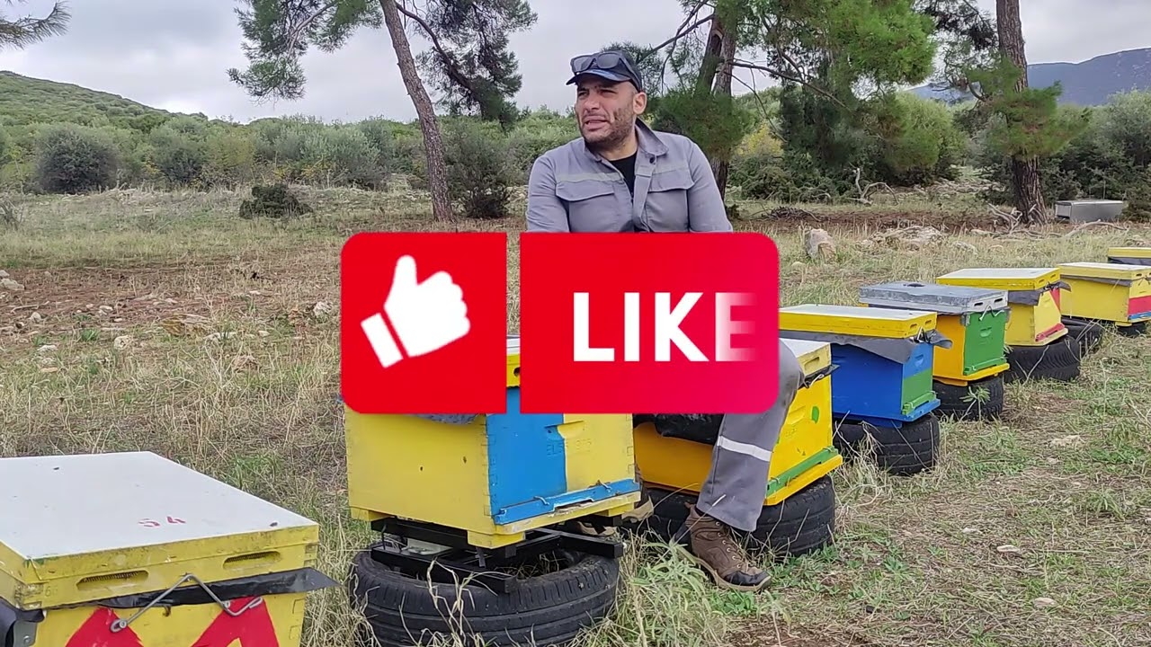 ΖΥΓΑΡΙΑ ΤΟ ΣΗΜΑΝΤΙΚΟΤΕΡΟ ΕΡΓΑΛΕΙΟ ΣΤΑ ΜΕΛΙΣΣΙΑ 