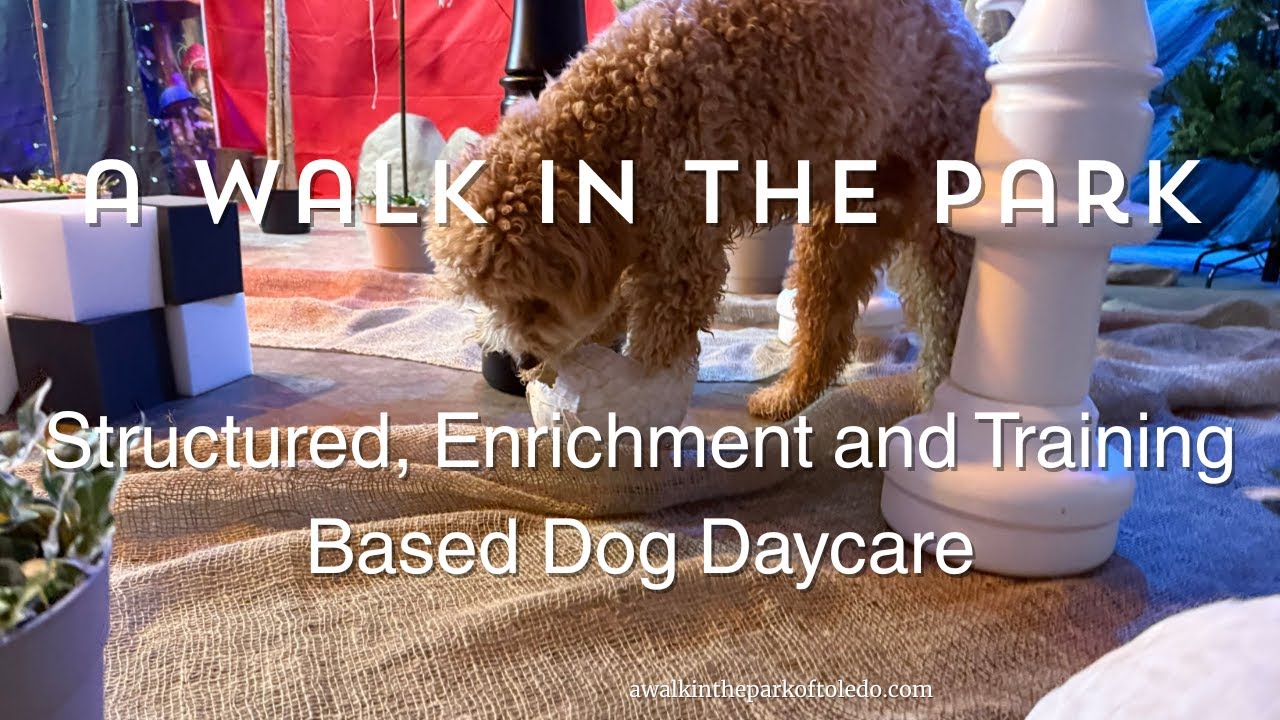 A Walk in the Park™ Dog Daycare, Boarding, Grooming, Training