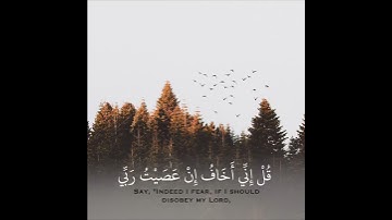 تلاوة قصيرة بصوت الشيخ : #عبدالله_الموسى | سورة الأنعام .