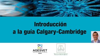 Introducción a la guía Calgary Cambridge (Iván López) - AGESVET y AVEPA -  YouTube