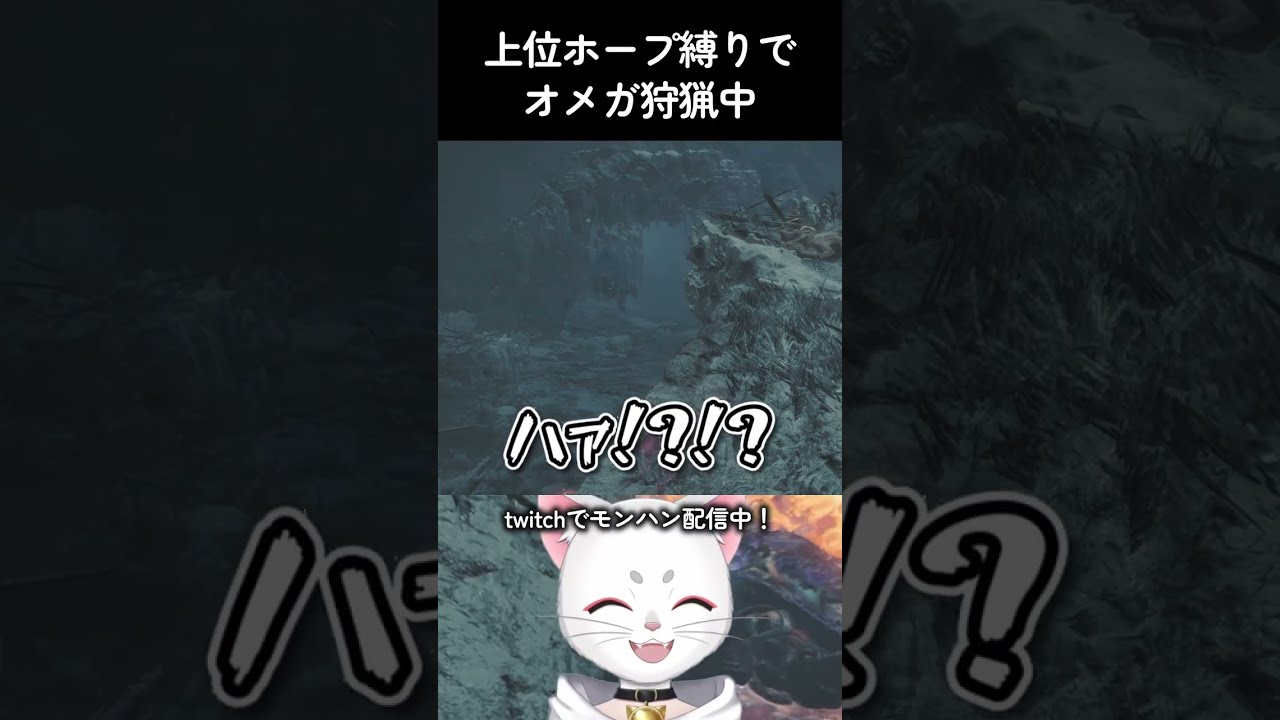 戦う前に消し飛ばされた件 #shorts #モンハンワイルズ #mhwilds #MonsterHunter #オメガ #vtuber #バグ