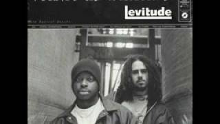 VARIOUS BLENDS / Levitude (BKA 0015 LP, 2LP) – TICRO MARKET