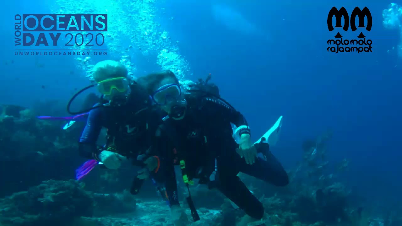 Molo Molo Raja Ampat 🐠 edisi World Oceans Day 2020