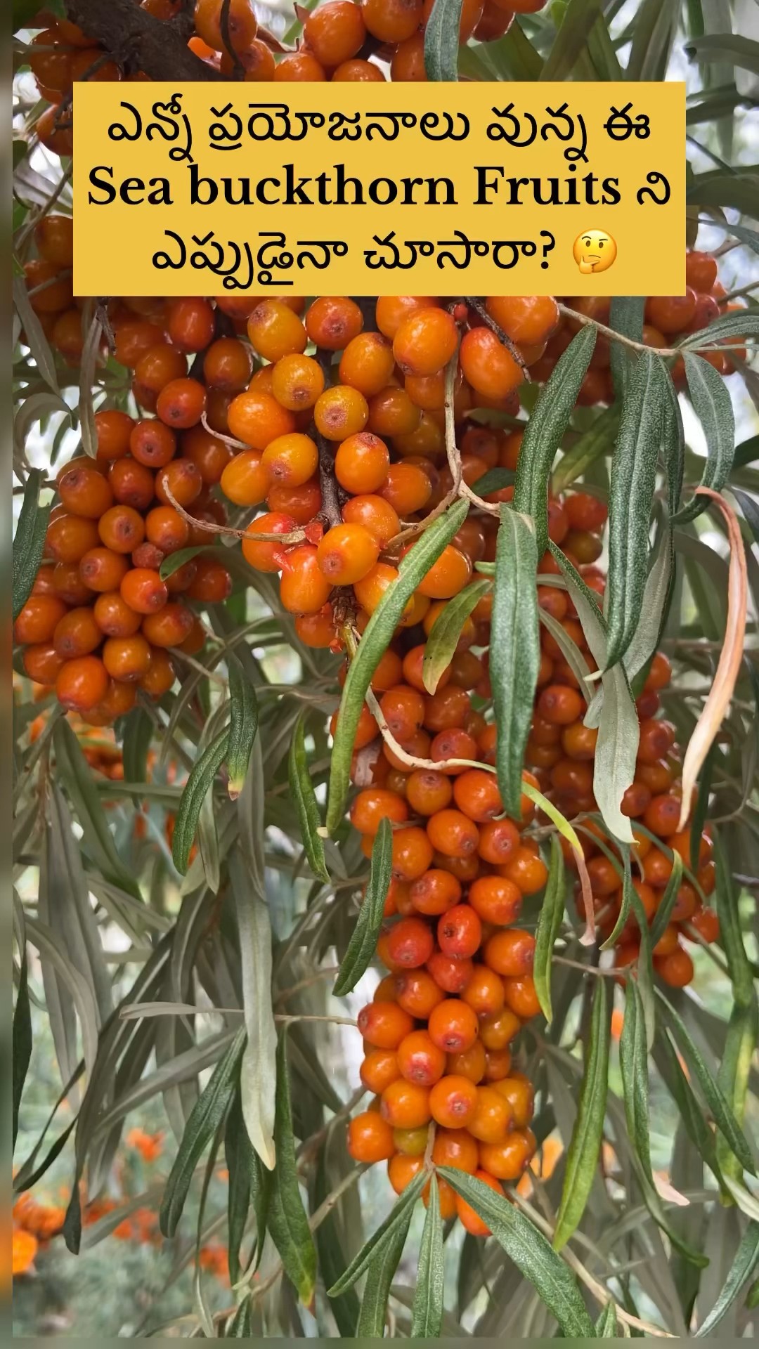 jesus .gscc - ShareChat