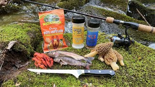 Epic Fishing Adventure  Trout, Crawfish, Morel Mushroom Catch n' Cook!