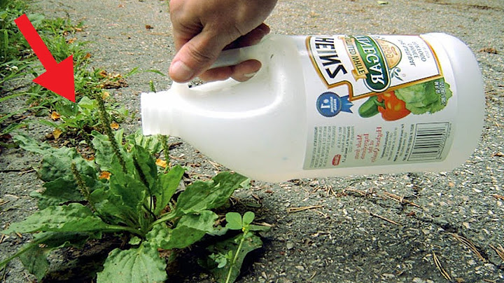 Use Vinegar In Your Garden and See What Happens