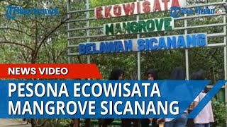 Pamerkan Panorama Alam Ecowisata Mangrove Sicanang Belawan Ramai Saat Awal Tahun Baru