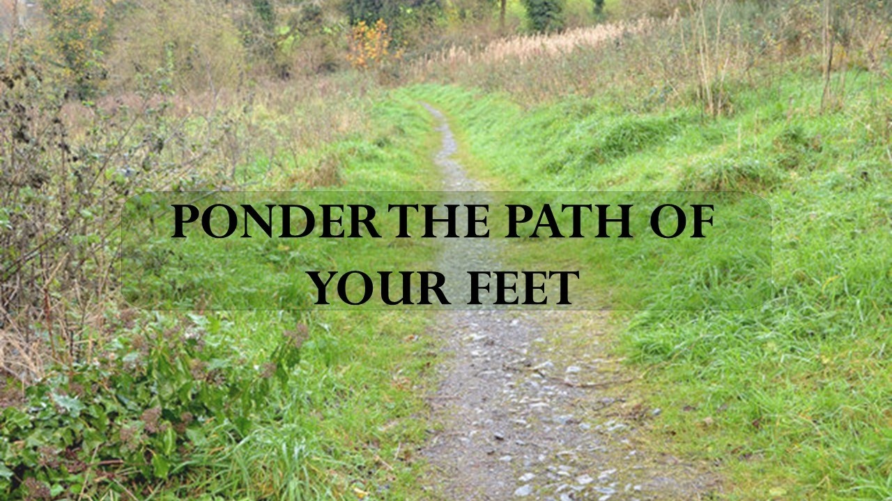 Ponder the Path of Your Feet
